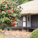 박용철 전집 시집 이미지