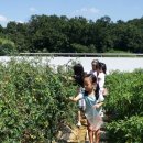 서농초등학교 이미지