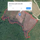 남이태양광발전소 이미지