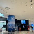 전망대로 | 서울 야경 명소 롯데월드타워 입장료 할인 전망대 후기