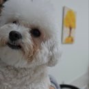 멍동댕유치원 이미지