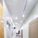 표선 교차로 3 이미지