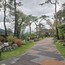 청풍호 뷰와 정원이 아름다운 카페 &#39;너른&#39; 이미지