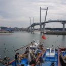 진짜일등수산 이미지