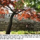 정자교회 화장실 이미지