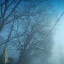 동탄한증막 이미지