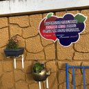 사회적협동조합 플라토피아 이미지