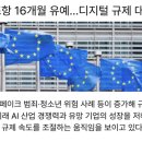 현대자동차오포점 | [11월20일] EU AI법 간소화, 스마트폰e심 확산, AWS·MS에 디지털시장법 적용