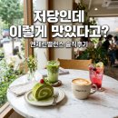헬시몬스터 | 저당 음료는 맛없을 줄 알았는데 엔제린밸런스 헬시플레저 반전
