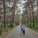 은마차 Daum카페