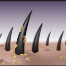 수원-0254 이미지