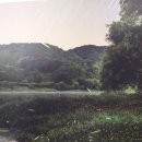 광주순대 이미지