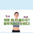 내추럴바디짐 이미지