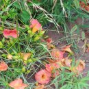 청도왕한의원 이미지