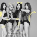 씨스타 스포츠경향