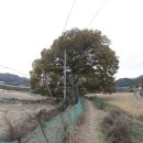 내서읍355 이미지