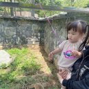 드림랜드(아) | [전주]아이랑 가볼만한 곳 전주동물원&amp;드림랜드 후기