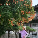 사립강원종합박물관 이미지