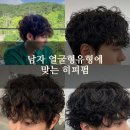 진해구 신항동로 141 (애플타운헤리티지 수협) 앞 | 신항미용실 남자 히피펌 스타일 어울리는 유형