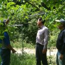 만선농장 이미지