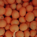 선화농원 이미지