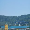 벌교동물병원 이미지