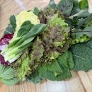 산골짜기쌈밥마을 이미지