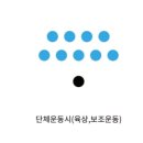 팀무브먼트강동구체대입시학원