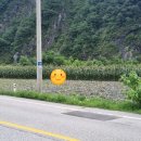 대복민박 이미지