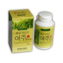 천령식품 네이버블로그