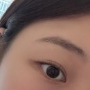 벨르뮤 강남역점 눈썹 속눈썹펌 연장 이미지