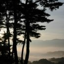 새벽아침농장 이미지