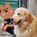 호계복합청사(호계3동 주민센터) | 맛집나들이_ COFFEE508