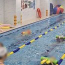 몬스터키즈풀 이미지