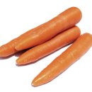 짐에이치핏 이미지