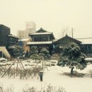 금빛통닭 | 서해금빛열차 타고 다녀온 뚜벅이 당일치기 군산 여행 (feat. 지린성, 평화족발)