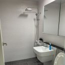 stay봄날 이미지