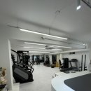 피티찬스 이미지