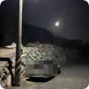 해이랑마파람 이미지