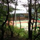 단양테니스장 이미지