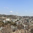 파이앤브라우니