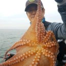 오늘도 여수 이미지