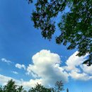 도그어스 플래닛 이미지