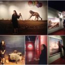 나팔꽃한의원 | [일기] 근황 + 후기: 나팔꽃한의원, 에릭요한슨, 원이록이, 전국 우수 시장 박람회