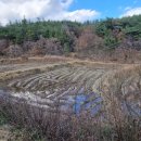 지흥공인중개사사무소 이미지