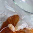 수진이네 | 전국맛집택배 국내산 묵은지 수진이네묵은지 재주문 후기