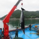 남해-260 이미지