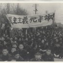 대광고등학교 교내? 이미지