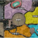 모구리야영장(가족영지) | 제주에 살면서 반복해서 찾게 되는 캠핑장, <모구리 야영장> 솔직 이용 후기 (아이 동반 기준)