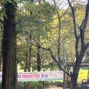 부곡테니스장 이미지